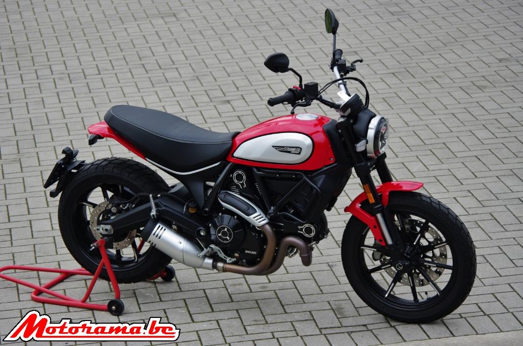 Ducati Scrambler 800 Icon - 2022 - 1800 km @Motorama, Motoren, Motoren | Ducati, 2 cilinders, Bedrijf, Meer dan 35 kW, 800 cc