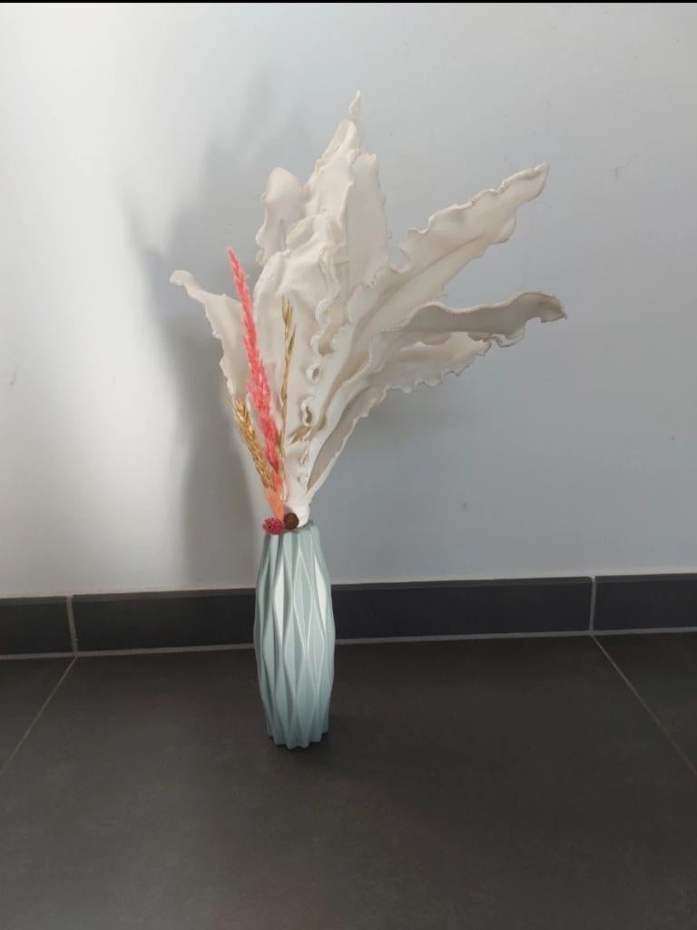 Droogbloemen/ witte bloem, Ophalen of Verzenden, Zo goed als nieuw