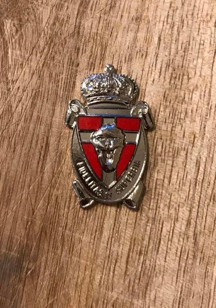 Kenteken Bataljon Bevrijding - zilverkleurig, Collections, Enlèvement ou Envoi, Armée de terre