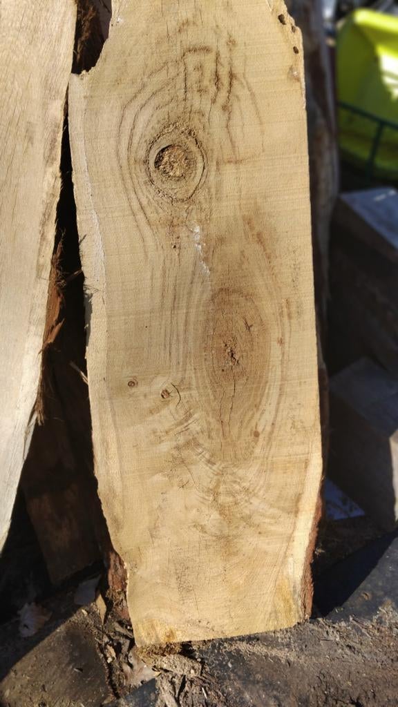 Planches de bois brut., Bricolage & Construction, Bois & Planches, Chêne, Enlèvement