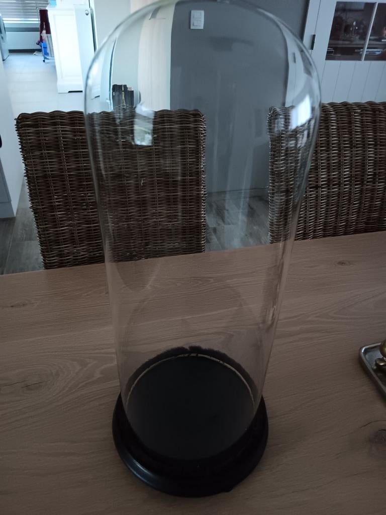 Cloche en verre ancienne, Enlèvement