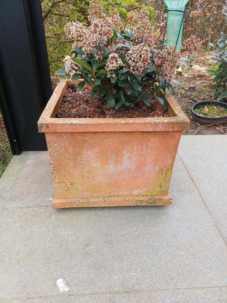 2 grote terracotta bloempotten vorstvrij, Balcon, 40 cm ou plus, 40 à 70 cm, Carré