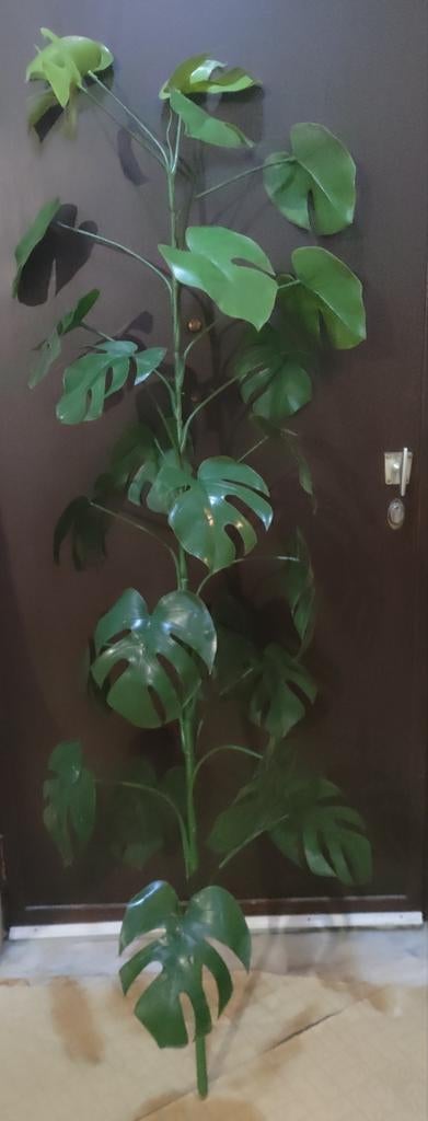 Kunstplant Monstera, Huis en Inrichting, Kamerplanten, Ophalen