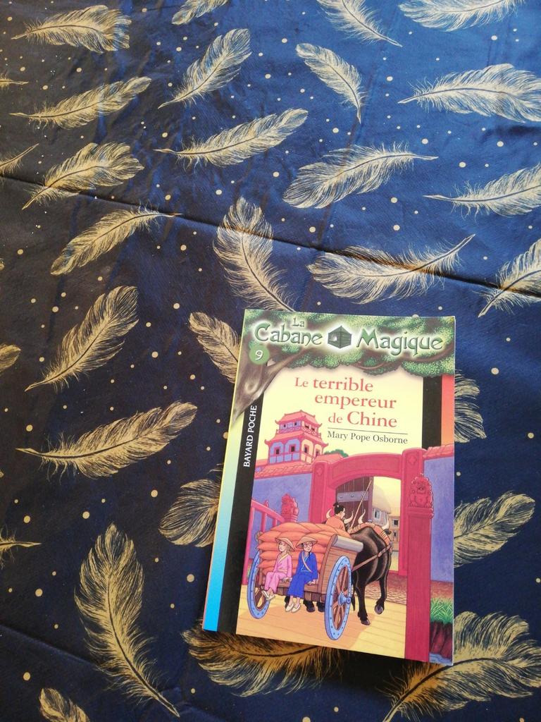 La Cabane Magique. Le terrible empereur de Chine., Livres, Enlèvement ou Envoi, Comme neuf