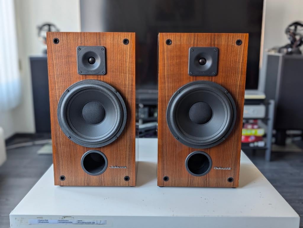 Cabasse Bisquine - Enceintes audio, Enlèvement, Utilisé, Autres types, Autres marques