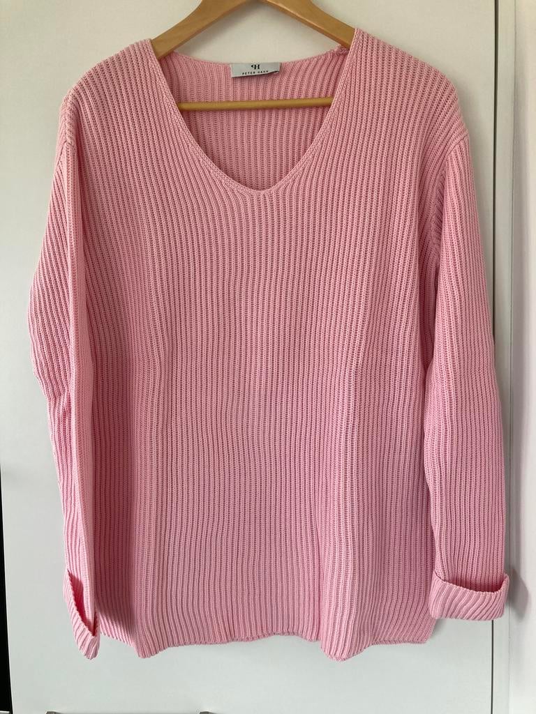 Katoenen pull Peter Hahn maat 36, Ophalen of Verzenden, Nieuw, Maat 36 (S)