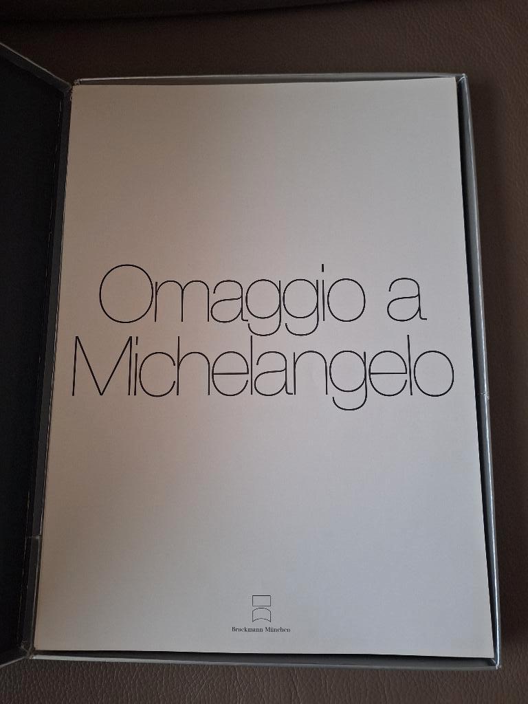 Omaggio a Michelangelo - David Hockney, e.a., Antiek en Kunst, Kunst | Litho's en Zeefdrukken, Ophalen of Verzenden