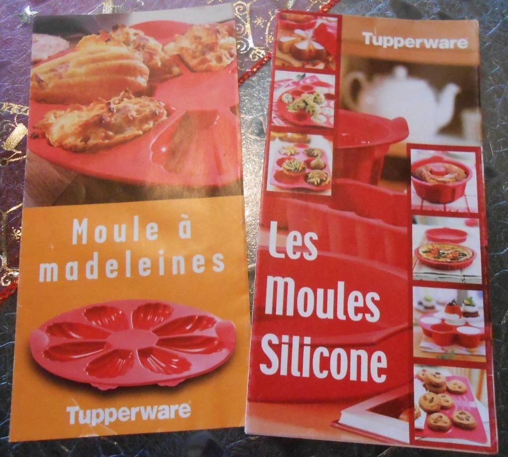 2 dépliants de recettes adaptées aux moules silicone cités, Maison & Meubles, Enlèvement ou Envoi, Neuf