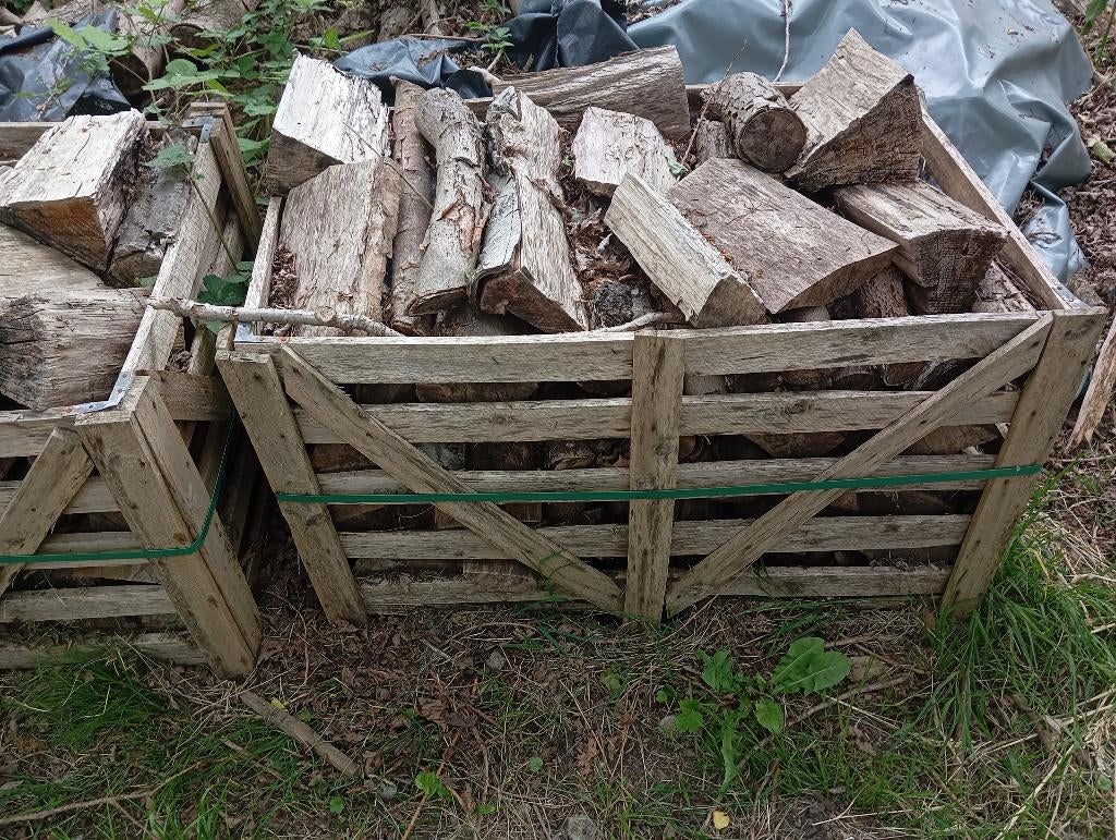 Bois de chauffage, Jardin & Terrasse, Bois de chauffage, 6 m³ ou plus, Enlèvement, Autres essences de bois, Bûches