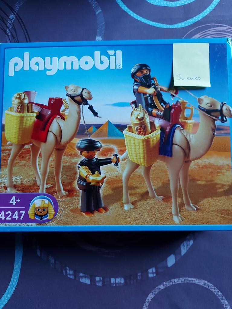 Egypte grafrovers met kamelen 4247, Ophalen