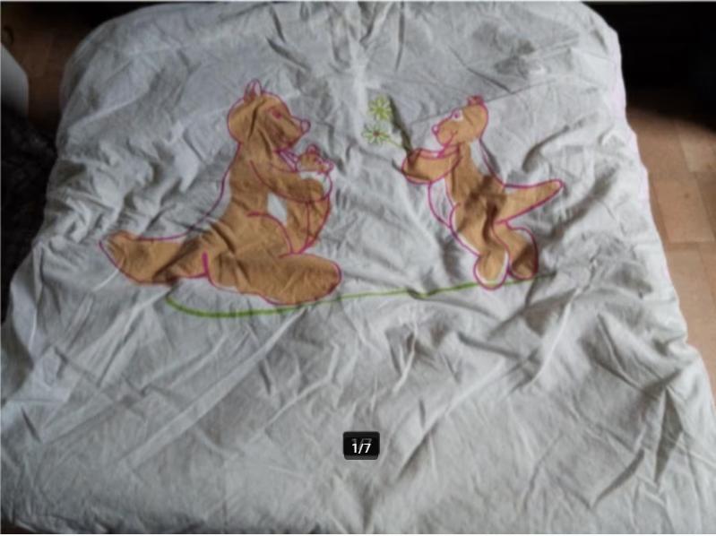 Dekens, dekbed, overtrek, slaapzak- baby / kinderen, 2-5€/st, Kinderen en Baby's, Kinderkamer | Beddengoed, Gebruikt, Overige kleuren
