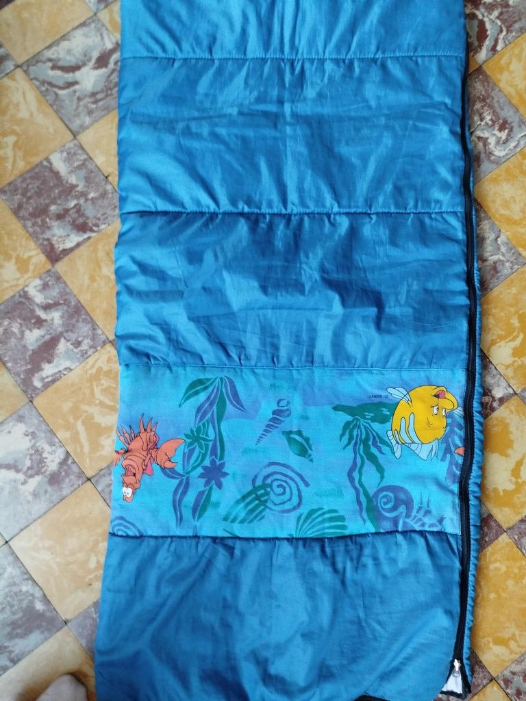 Sac de couchage, Caravanes & Camping, Enlèvement, Comme neuf