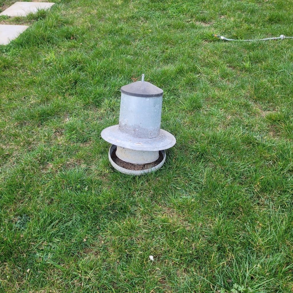 Mangeoire trémie, Animaux & Accessoires, Enlèvement, Utilisé