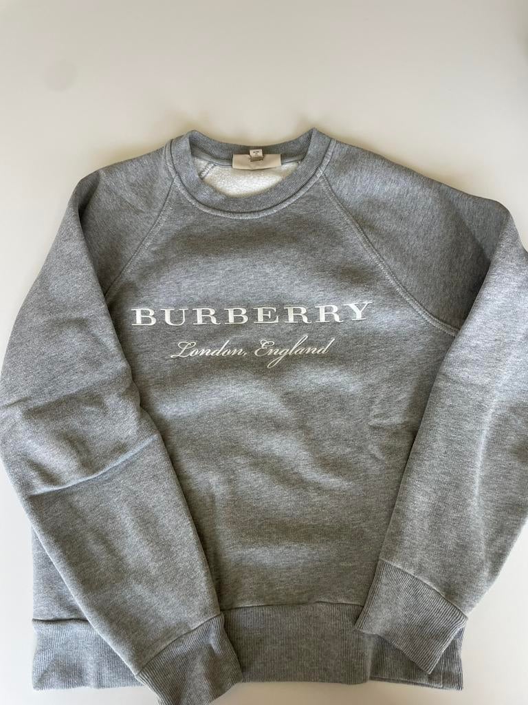 Burberry. Grijze sweater maat XS, Ophalen of Verzenden, Zo goed als nieuw, Maat 46 (S) of kleiner, Grijs