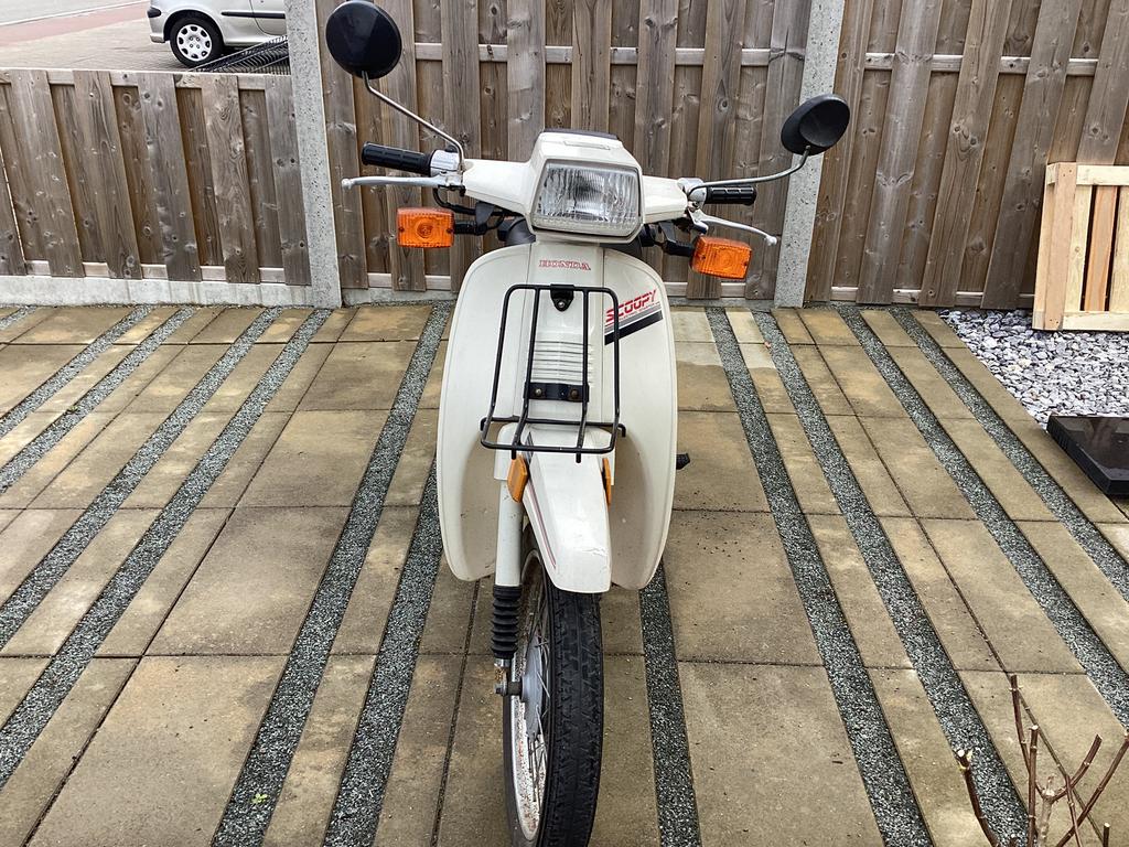 Honda scoopy 50cc, Ophalen, Gebruikt, Overige modellen, Klasse B (45 km/u)