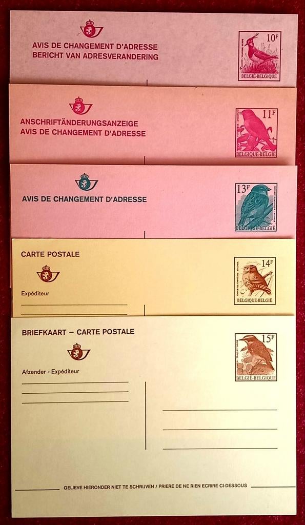 Cartes postales oiseaux Buzin, Envoi, Non oblitéré, Neuf