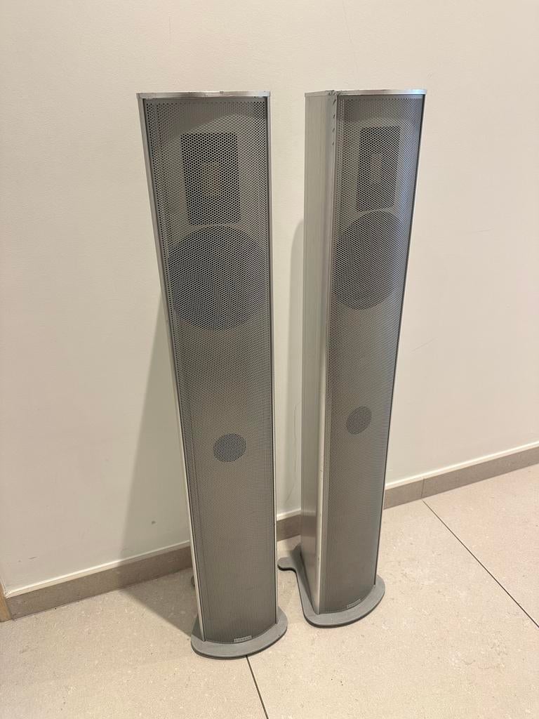 Enceintes Piega P4L MK2 Aluminum, Audio, Tv en Foto, Luidsprekerboxen, Gebruikt, 120 watt of meer, Front, Rear of Stereo speakers