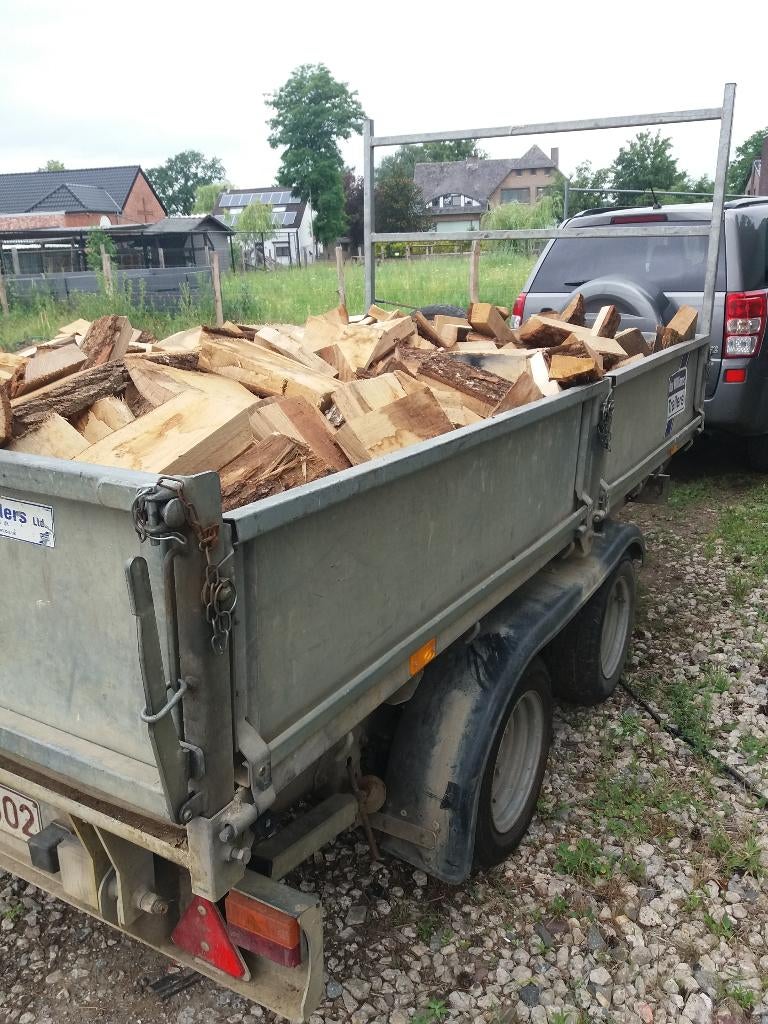 BRANDHOUT FRANSE EIK, Tuin en Terras, Brandhout, 3 tot 6 m³, Ophalen of Verzenden, Eikenhout, Blokken