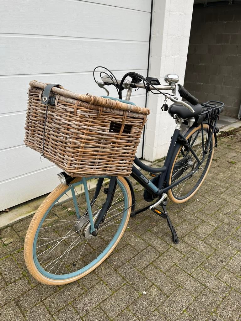 Elektrische fiets, Fietsen en Brommers, Elektrische fietsen, Ophalen, Gebruikt, Batavus