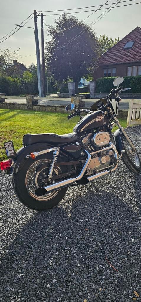 Harley Sportster 883 XLH HUGGER 2003, Particulier