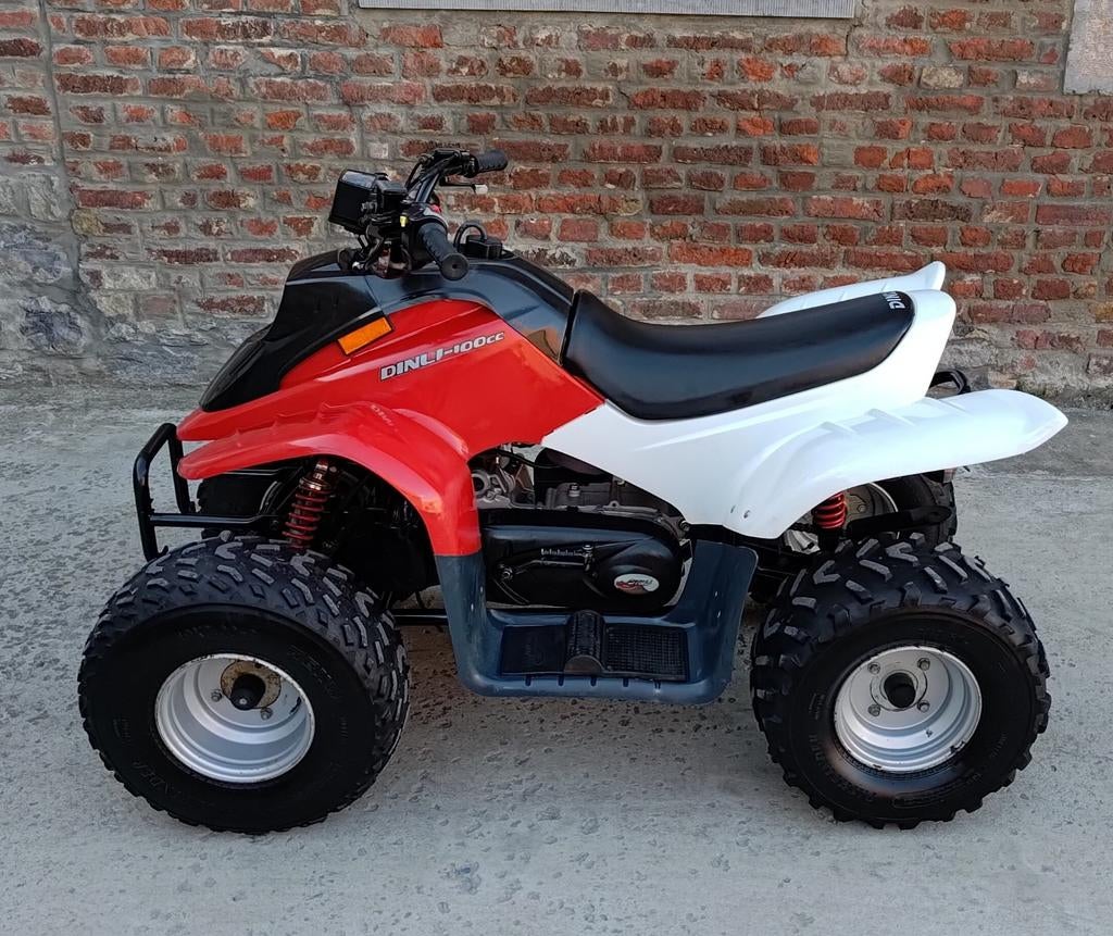 Quad Dinli 100cc (Homologué), 1 cylindre, 100 cm³