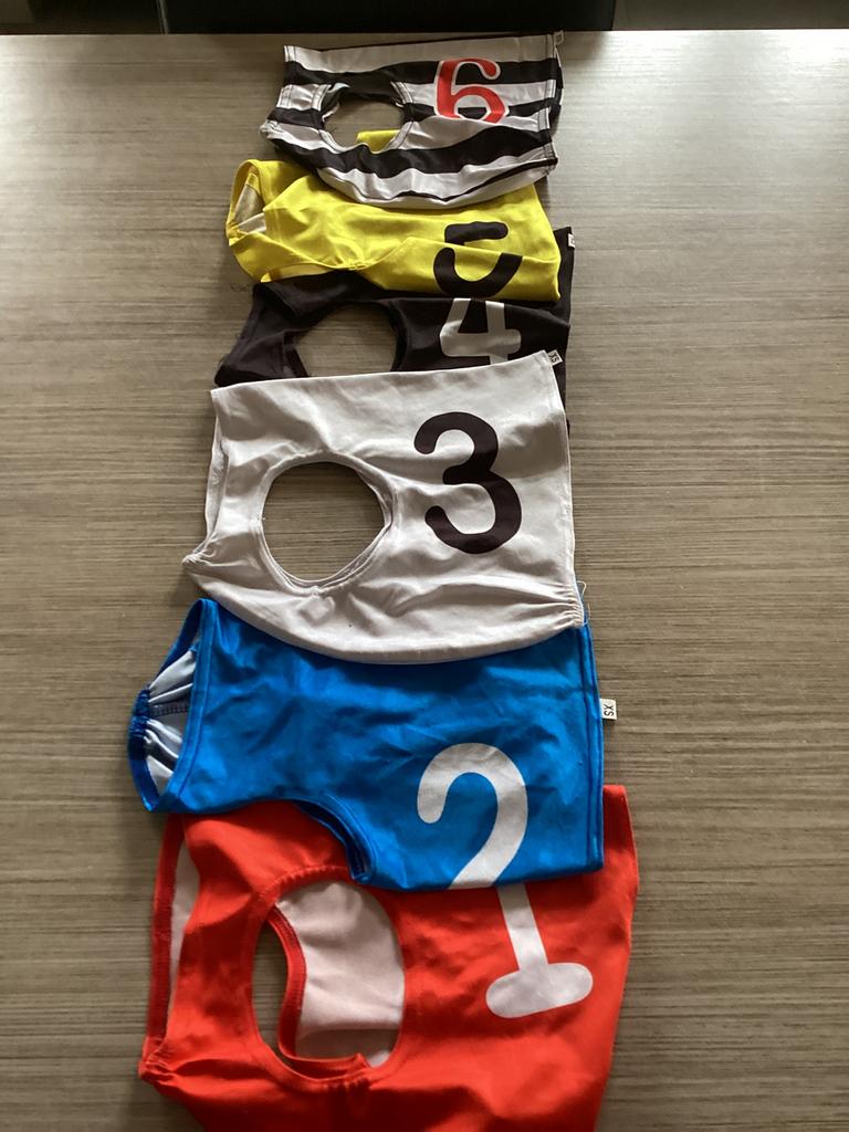 Rendekjes voor windhonden, Dieren en Toebehoren, Ophalen, Gebruikt