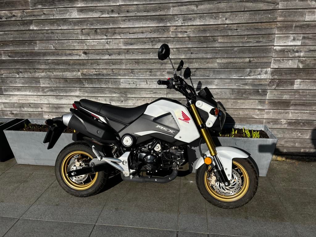 Honda MSX 125, Motoren, Motoren | Honda, Particulier, 125 cc, 11 kW of minder, 1 cilinder