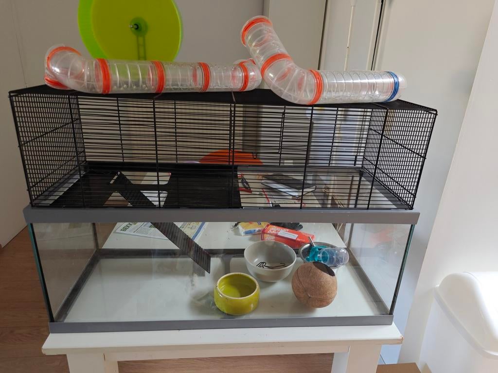 Pour hamsters, gerbilles et autres, Animaux & Accessoires, Enlèvement