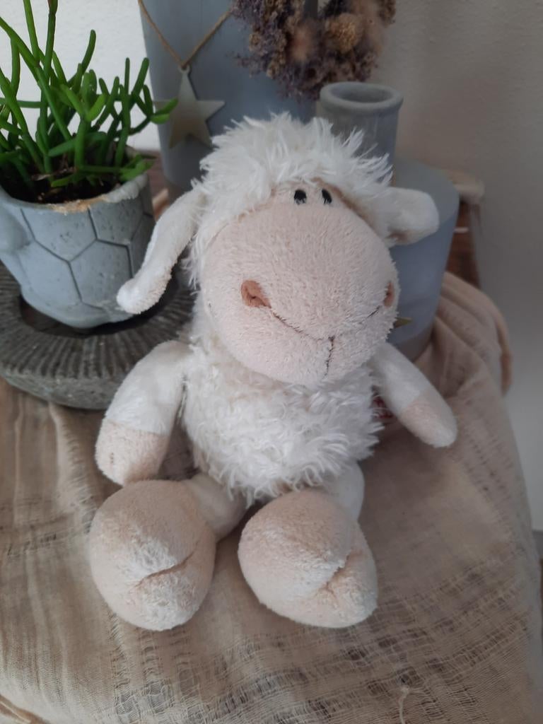 Schaapje nieuwstaat, Ophalen, Nieuw, Overige typen