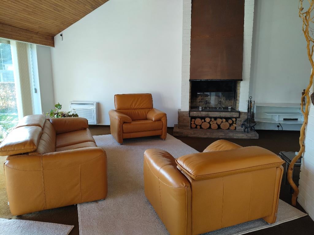 Salon en cuir, Enlèvement, Cuir, Moderne, Neuf