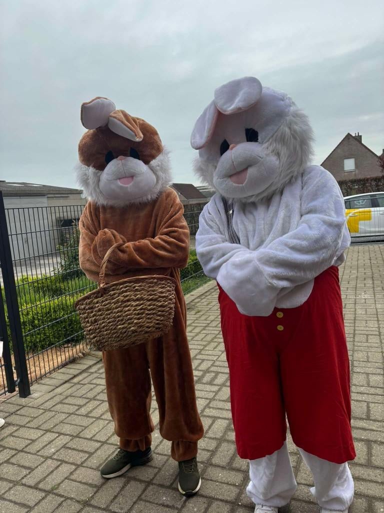 Paashaas op bezoek, Diversen, Pasen, Verzenden, Nieuw