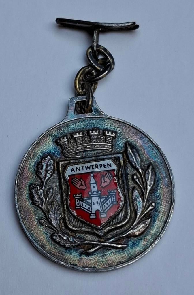 Medaille Stad Antwerpen en achterzijde P. P. Rubens, Postzegels en Munten, Penningen en Medailles, Ophalen of Verzenden