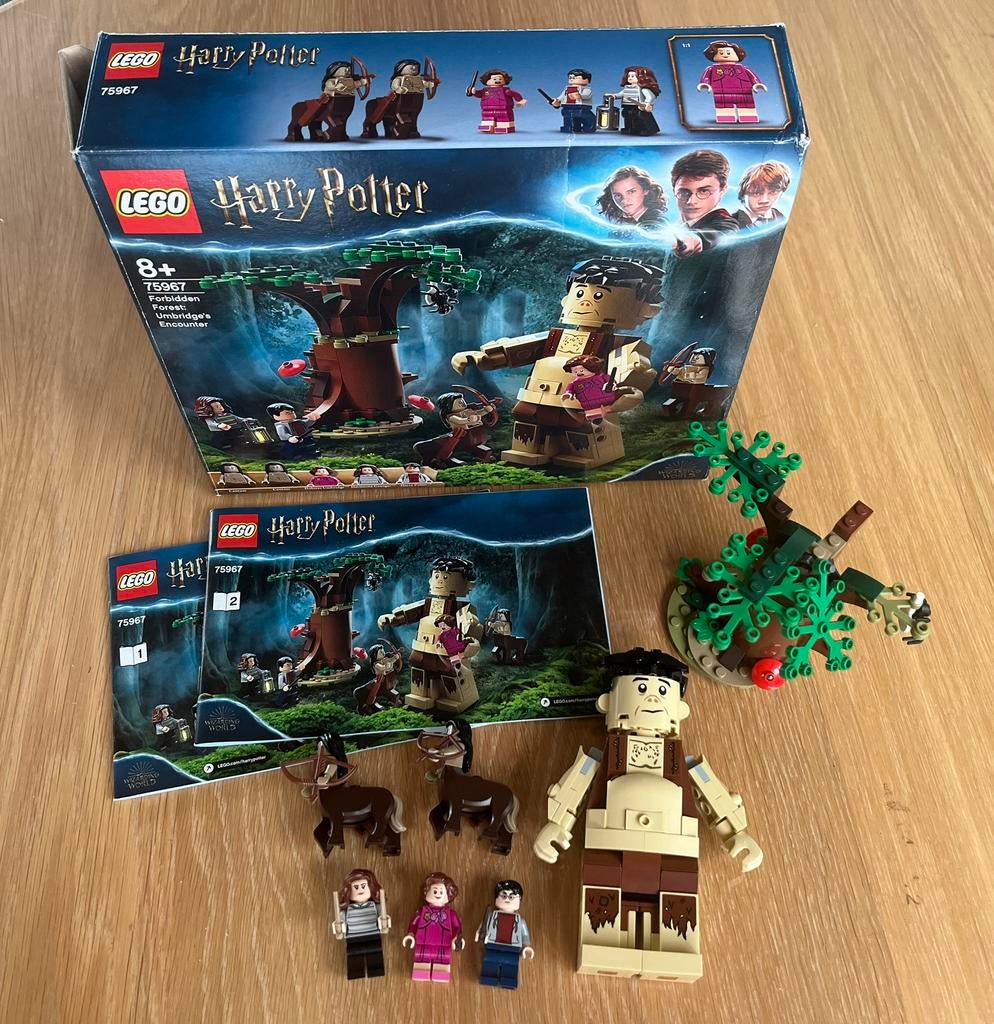 Lego Harry Potter 75967 Omber ontmoet Groemp, Ophalen of Verzenden, Zo goed als nieuw, Complete set, Lego