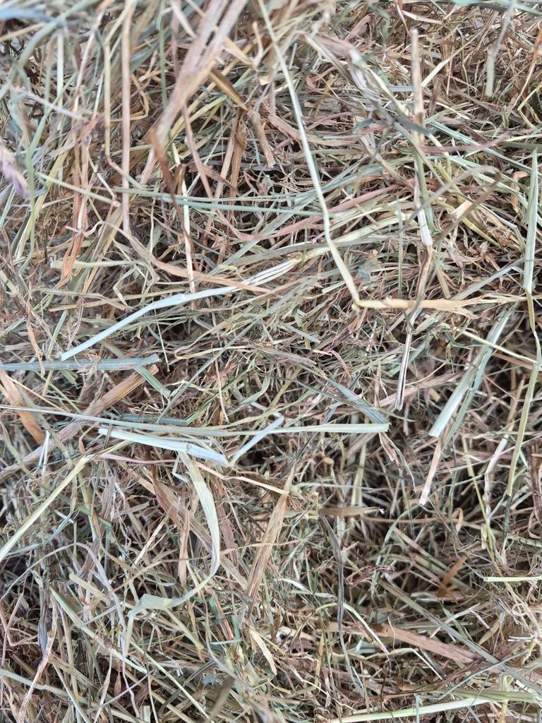 Frans hooi, Ophalen of Verzenden