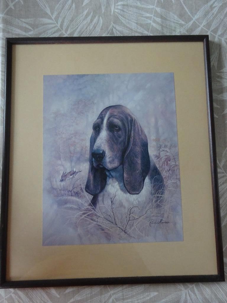 kader met getekende hush puppy, Ophalen