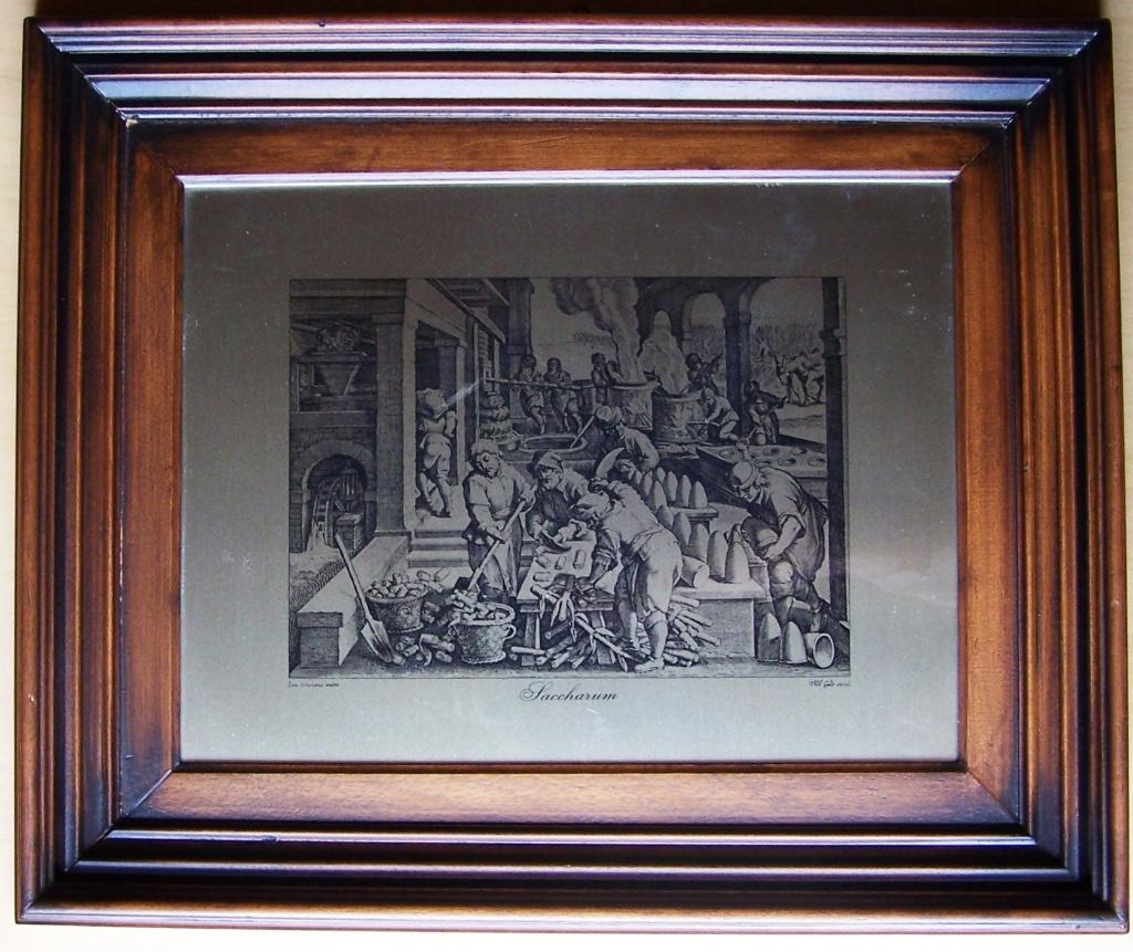 Prachtige gravure "Saccharum", Antiek en Kunst, Ophalen