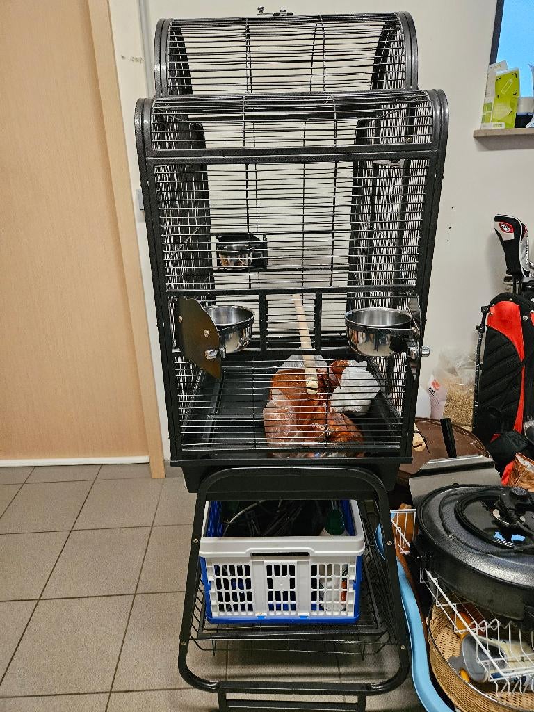 Cage à oiseaux pour calopsittes ou autres oiseaux, Animaux & Accessoires, Oiseaux | Cages & Volières, Utilisé, Cage à oiseaux
