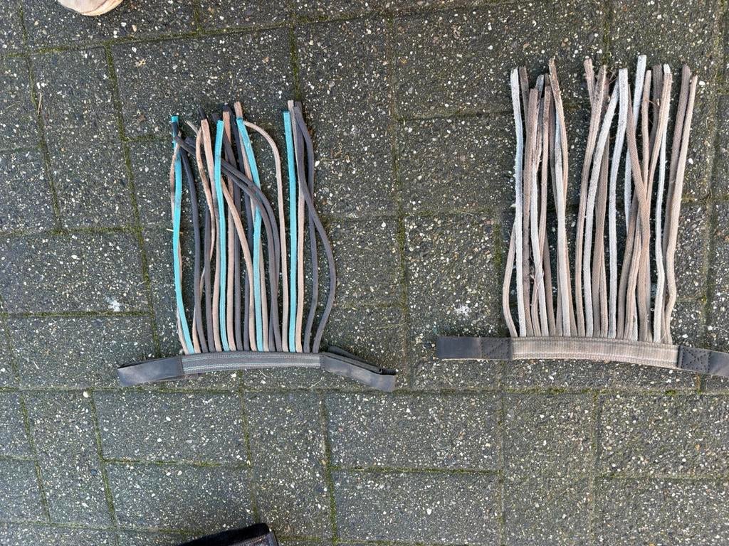 Shetland spullen tekoop, Dieren en Toebehoren, Ophalen, Zo goed als nieuw