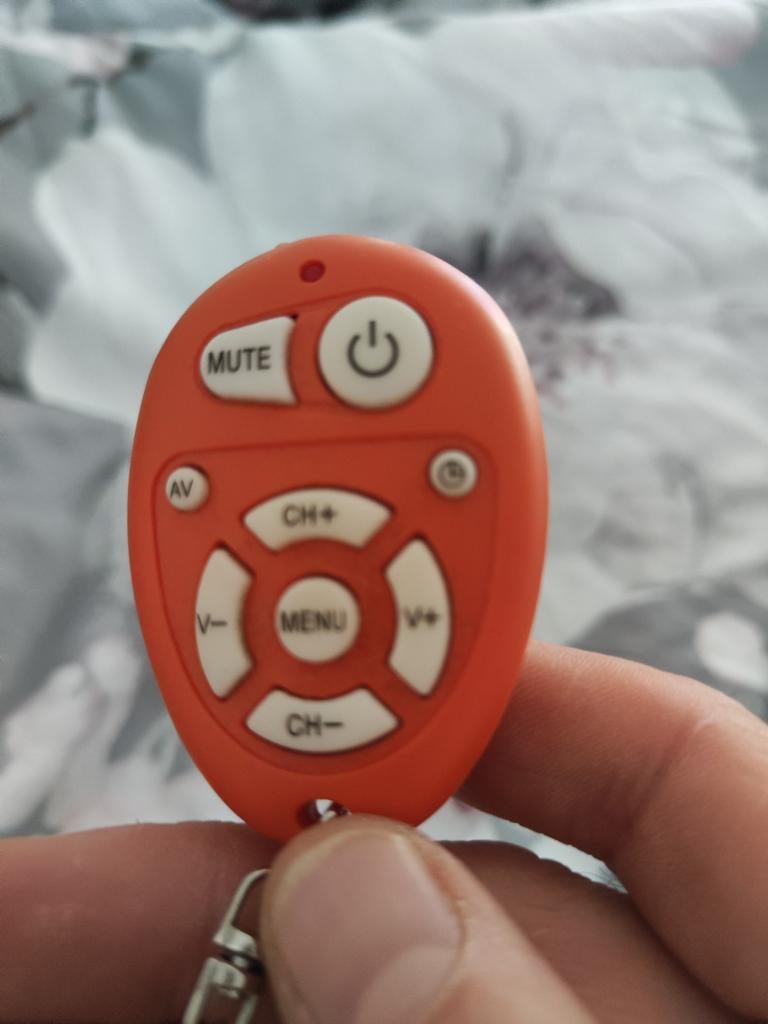 Télécommande universelle, TV, Hi-fi & Vidéo, Télécommandes, Enlèvement, Utilisé, Universel, TV