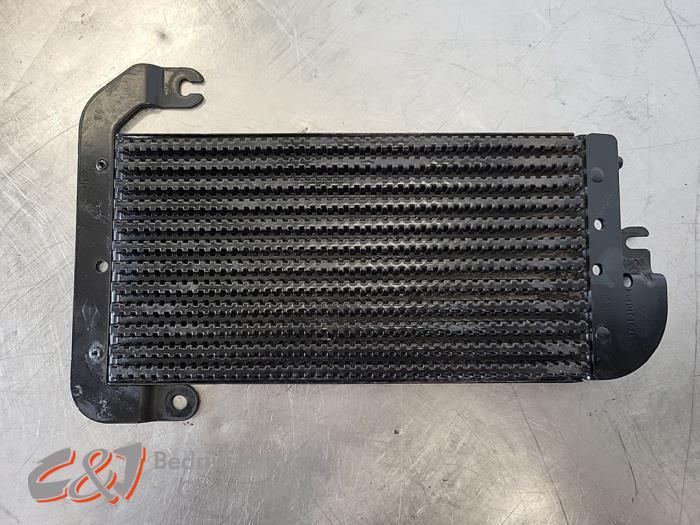 Brandstofkoeler van een Fiat Talento, Gebruikt, -, - 20
7903AG  Hoogeveen, Ophalen of Verzenden