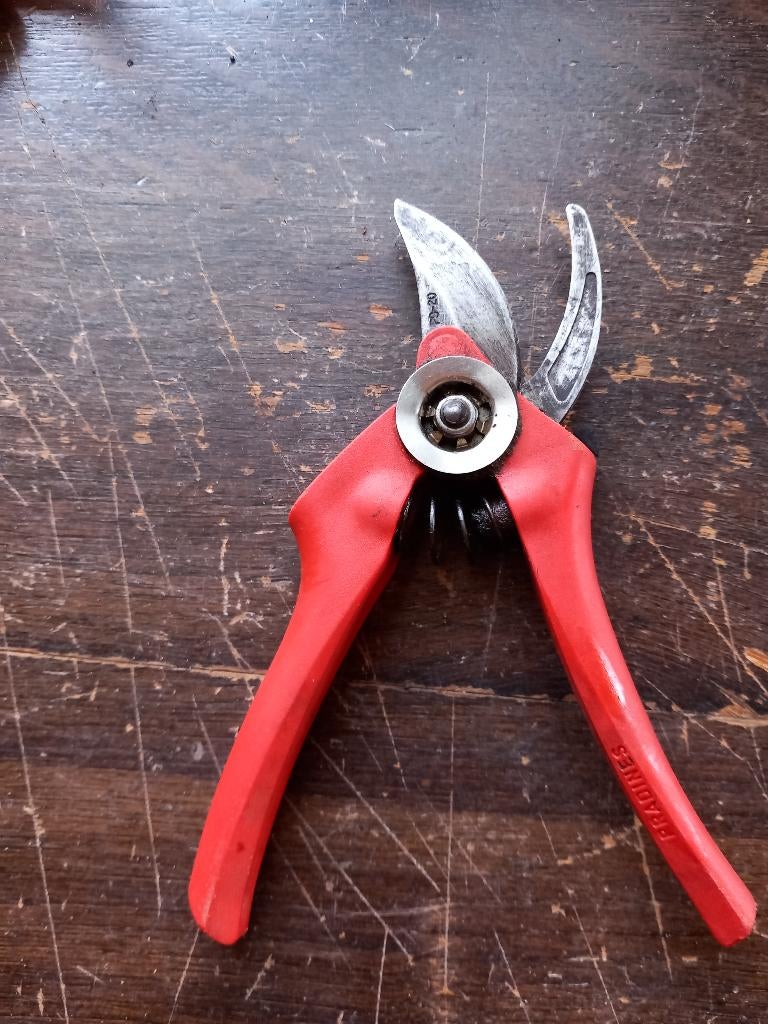 Snoeischaar, Ophalen, Zo goed als nieuw, Minder dan 20 mm