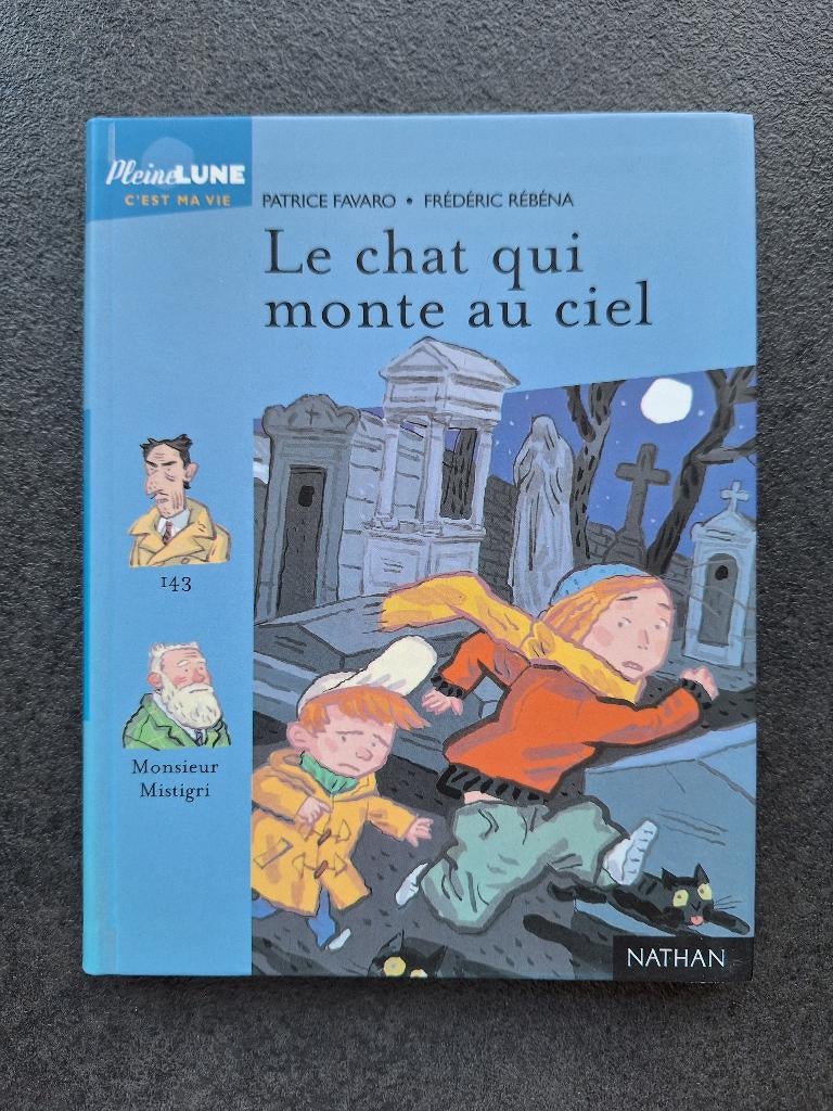 Le chat qui monte au ciel - Nathan (10-11ans), Livres, Livres pour enfants | Jeunesse | 10 à 12 ans, Neuf, Fiction, Editions NATHAN
