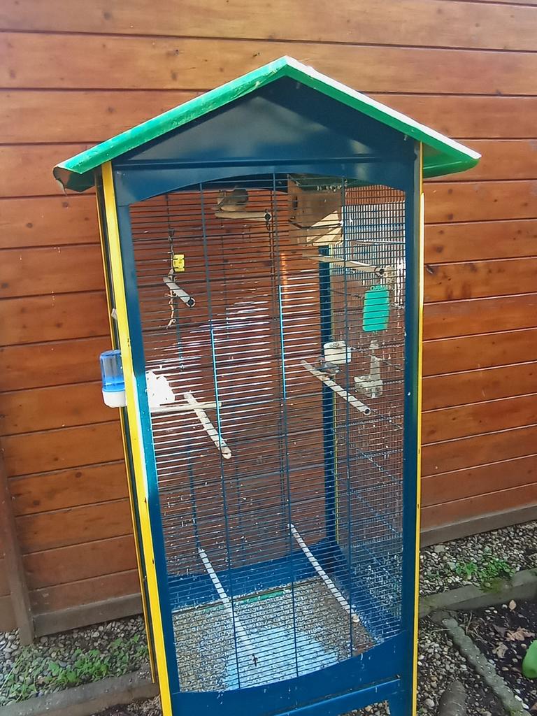 Zebravinken 2 koppels met kooi, Dieren en Toebehoren, Vogels | Hokken en Kooien, Ophalen