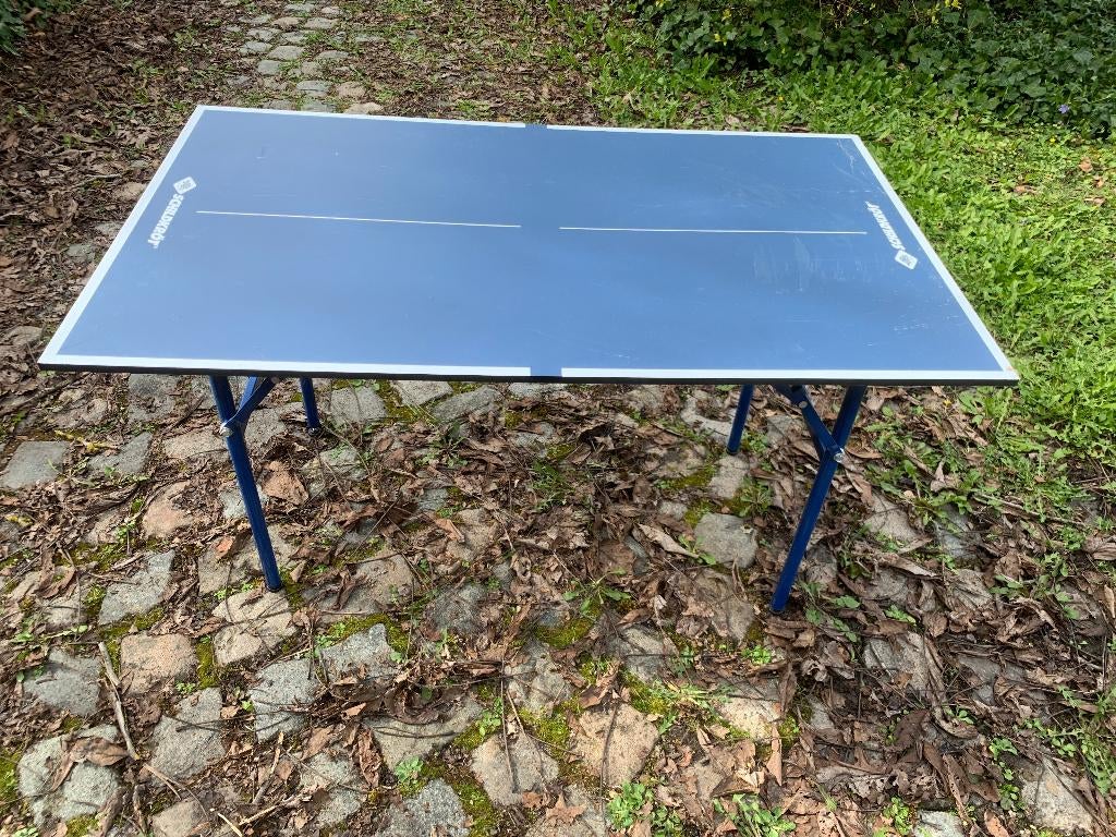 Petite table de ping pong/tennis de table, Enlèvement, Utilisé, Table d'intérieur, Pliante