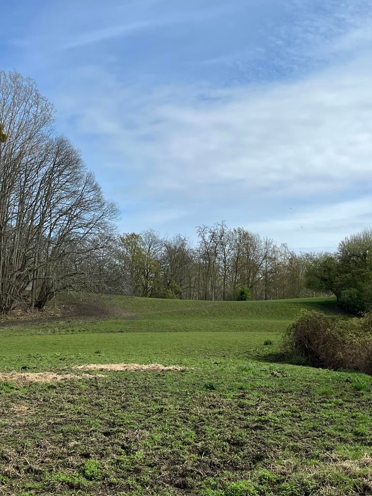 Prairie à Beersel pour double poney ou petit cheval rustique, Pâturage, 1 cheval ou poney