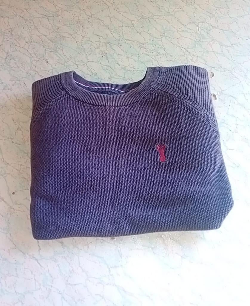 Next Trui, Nieuw, Ophalen of Verzenden, Maat 46 (S) of kleiner, Next