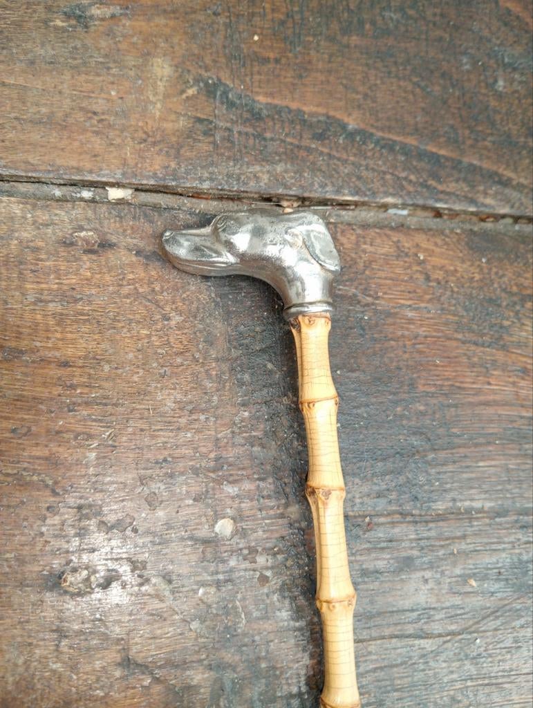 Canne/ baguette de chef d orchestre