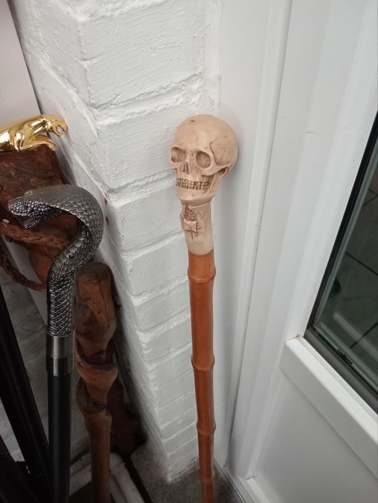 Canne pommeau tête de mort / crâne, Enlèvement ou Envoi