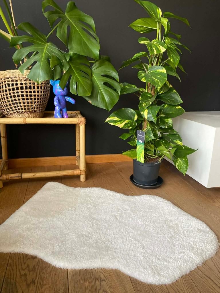 Schapenvacht wit nep, 50 tot 100 cm, Wit, Boho, Zo goed als nieuw