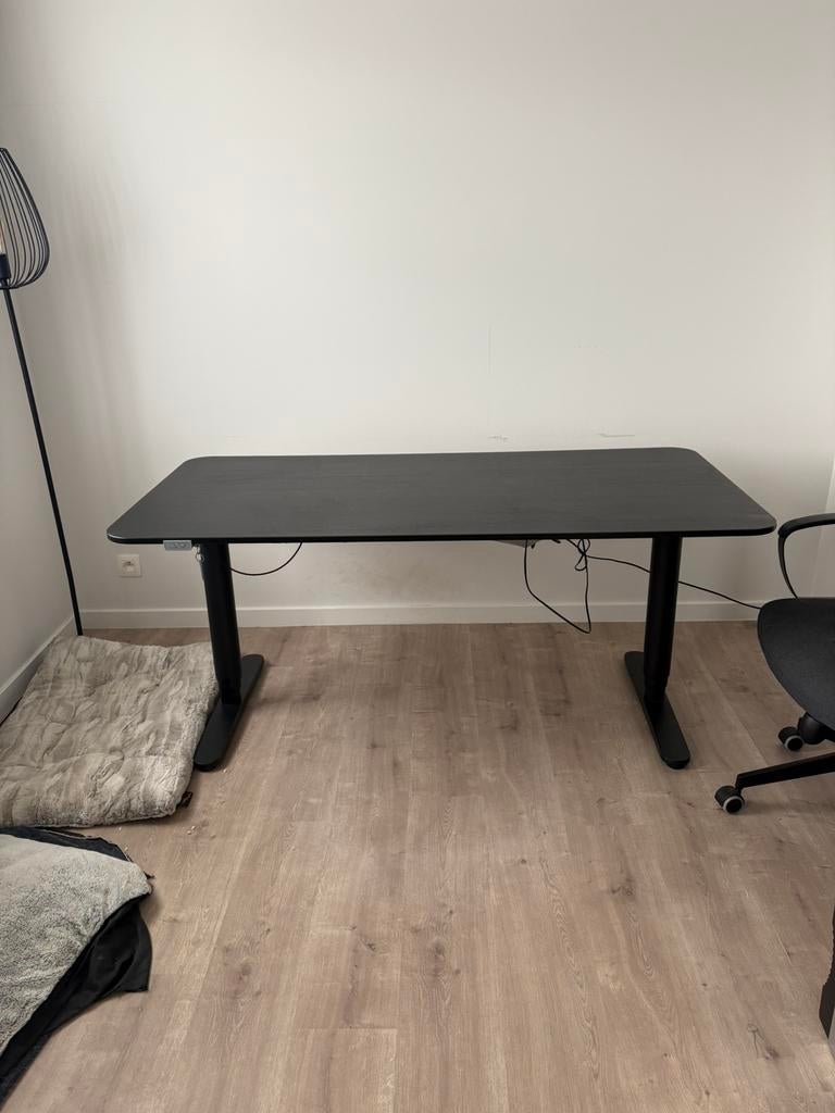 Elektrische bureau ikea, Enlèvement, Électrique, Utilisé